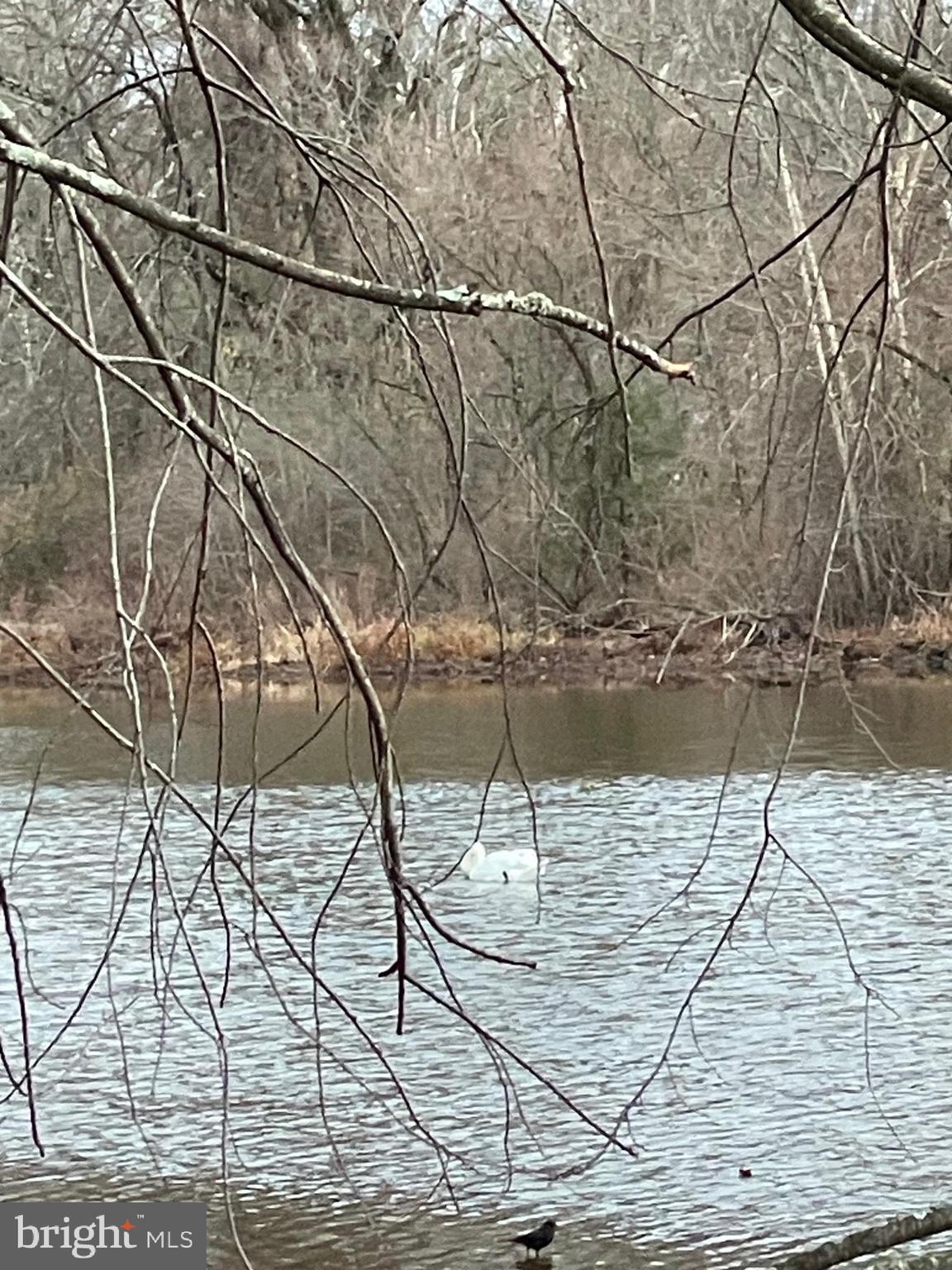1112 General Saint Claire Road Washington Crossing, PA 18977 - Photo 28 of 34