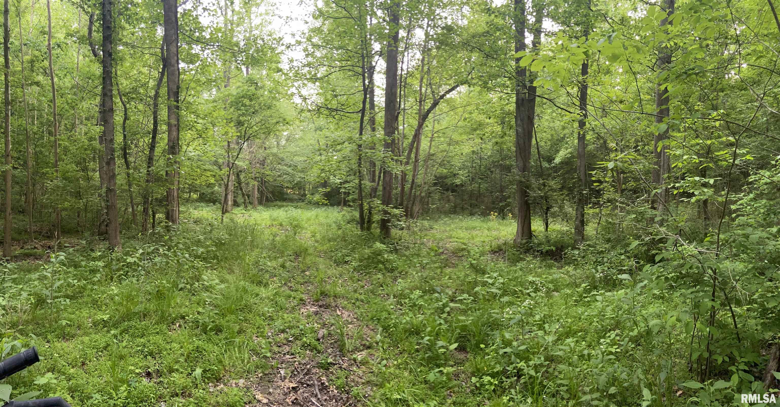 0 Morgan School Road Jonesboro, IL 62952 - Photo 1 of 13 Gallery Image 1