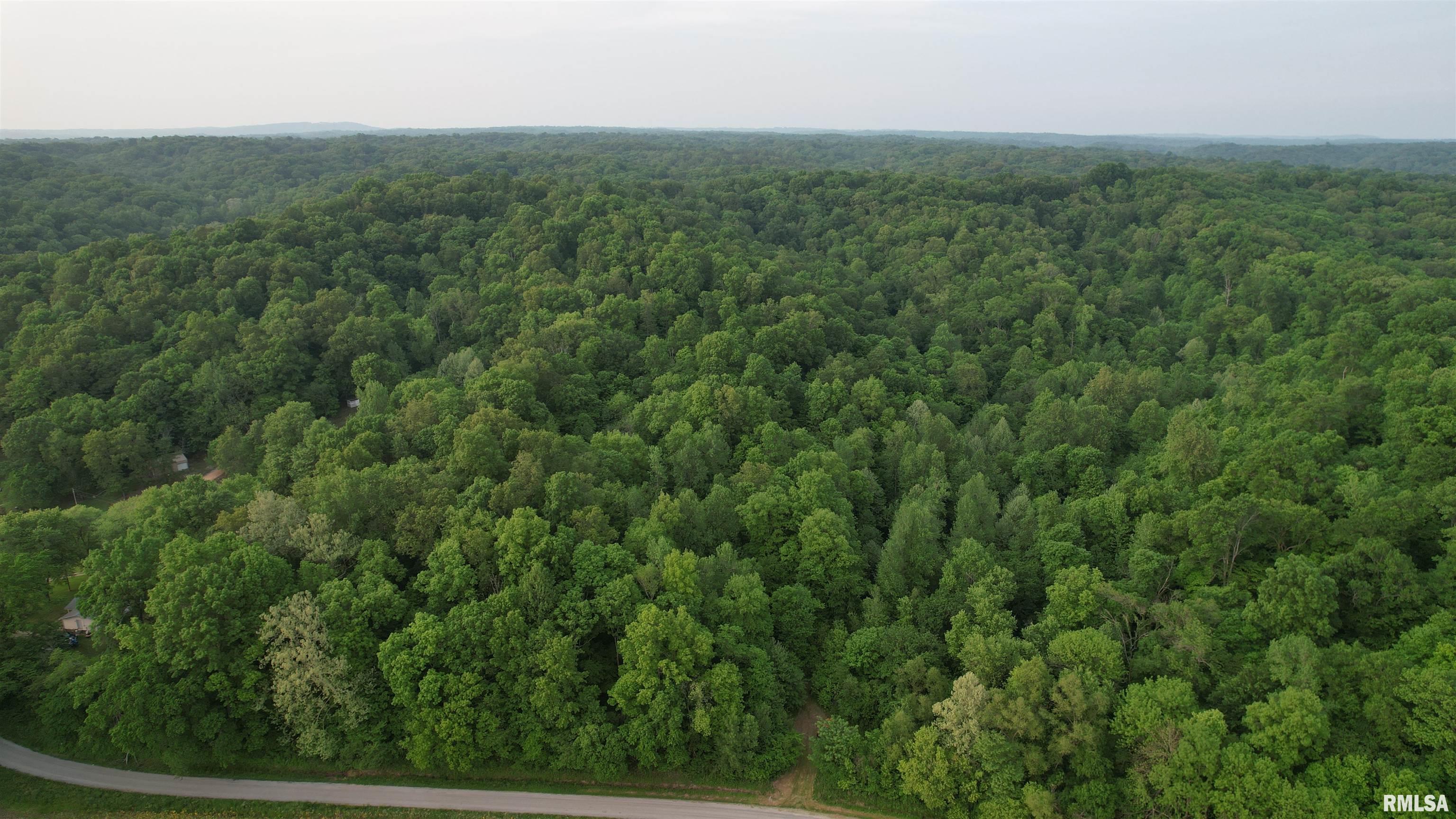 0 Morgan School Road Jonesboro, IL 62952 - Photo 11 of 13 Gallery Image 11