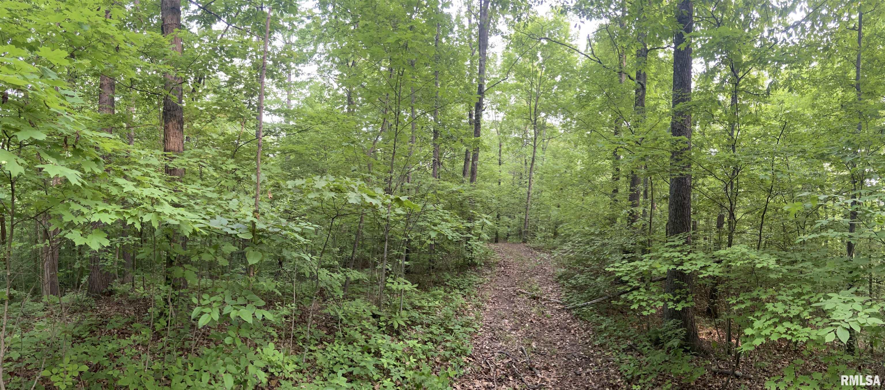 0 Morgan School Road Jonesboro, IL 62952 - Photo 8 of 13 Gallery Image 8