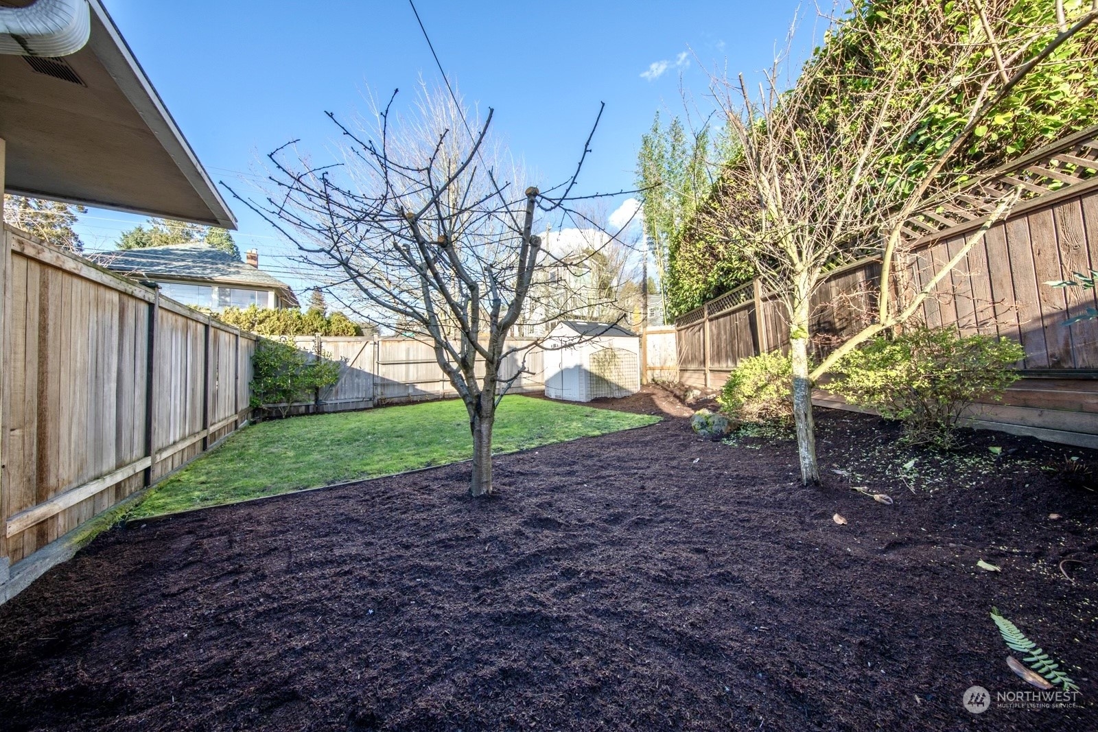 1821 North 80th Street Seattle, WA 98103 - Photo 23 of 30 a view of a backyard with tree s