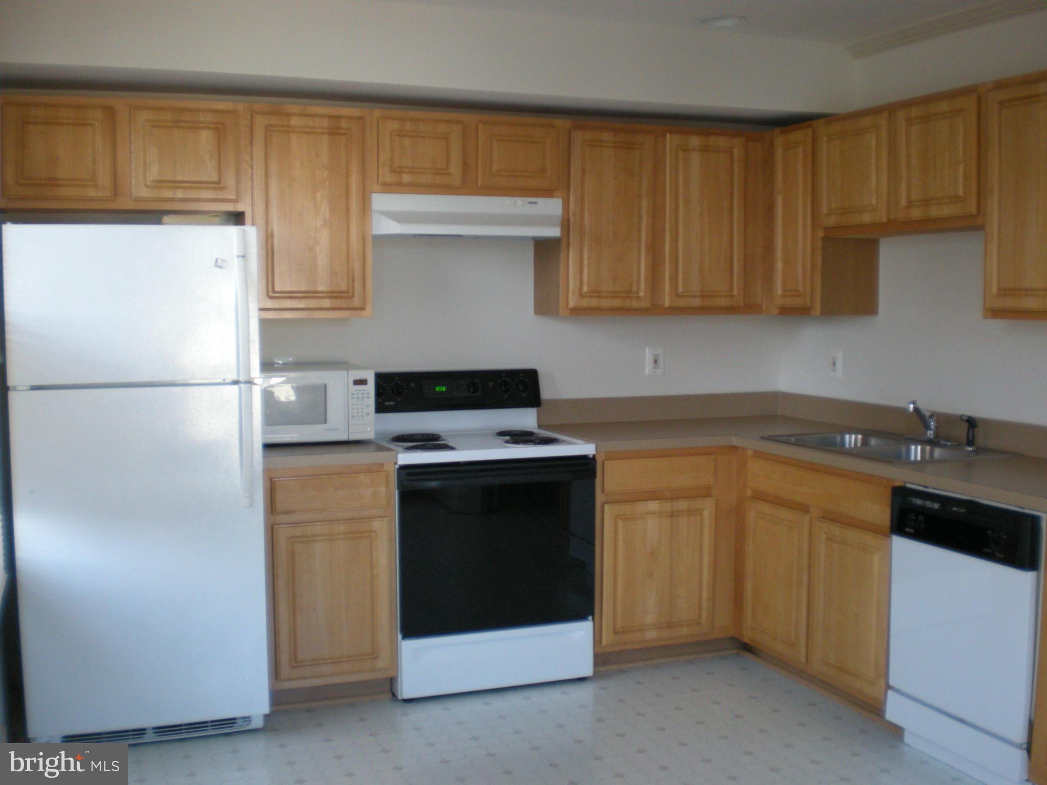 102 Dry Mill Road Southwest, Unit 201 Leesburg, VA 20175 - Photo 3 of 16 Kitchen