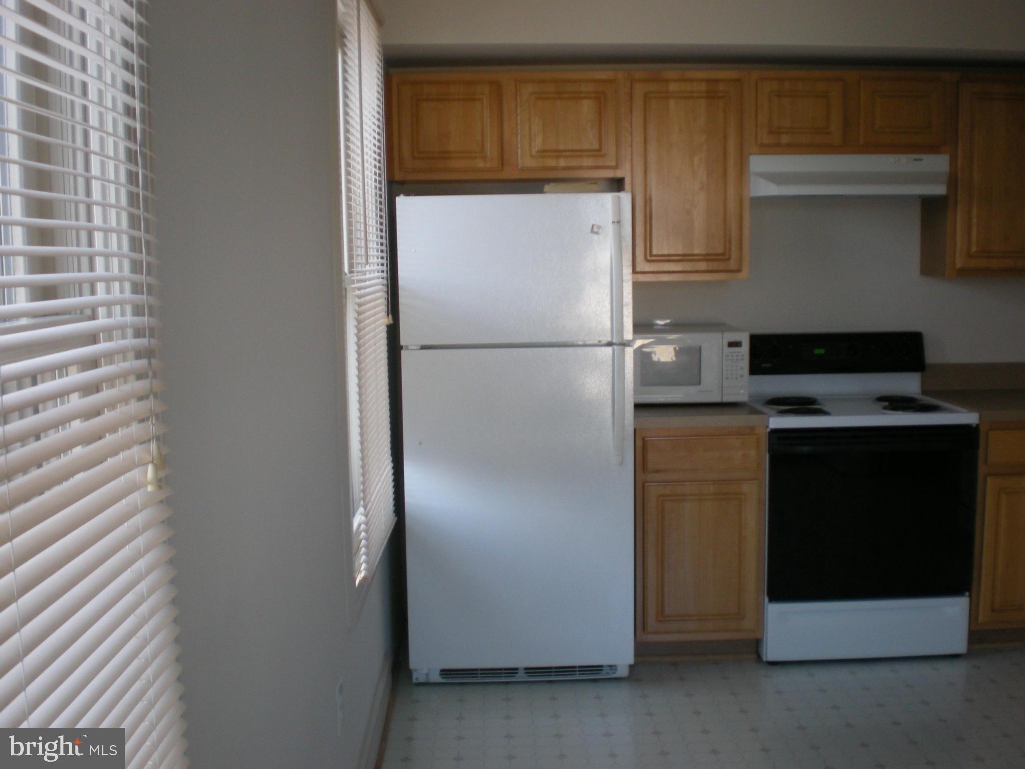 102 Dry Mill Road Southwest, Unit 201 Leesburg, VA 20175 - Photo 4 of 16 Kitchen