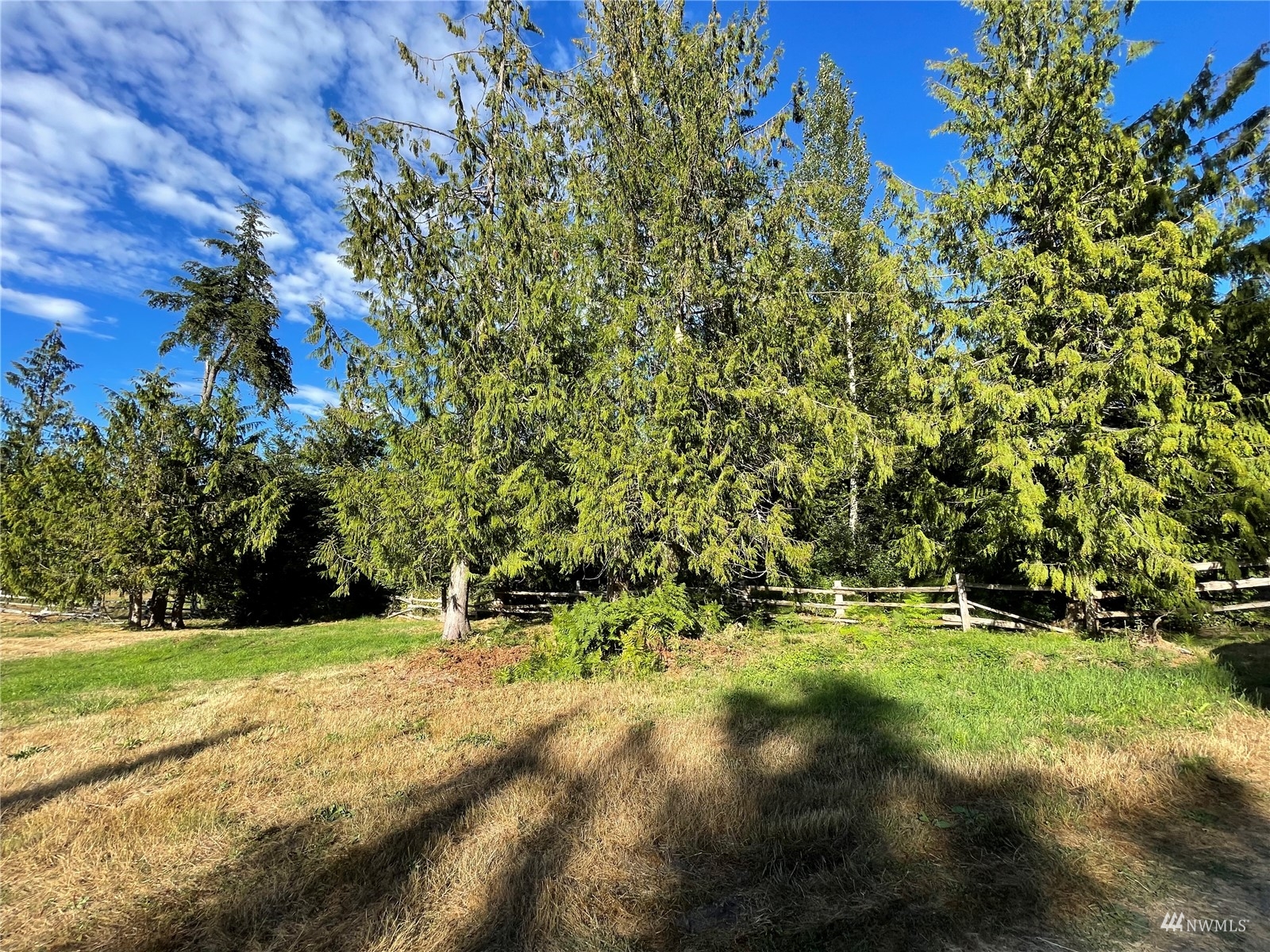 789 Amarillo Road Port Angeles, WA 98362 - Photo 15 of 39 a view of green field with trees