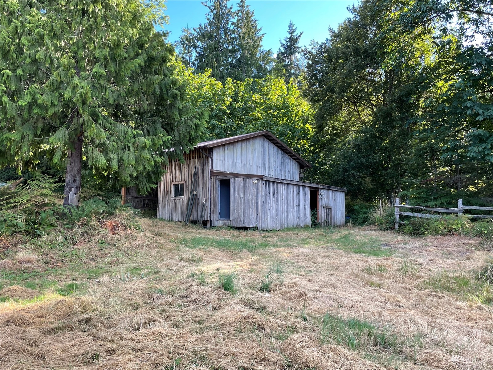 789 Amarillo Road Port Angeles, WA 98362 - Photo 19 of 39 a view of a small house with a yard and large trees