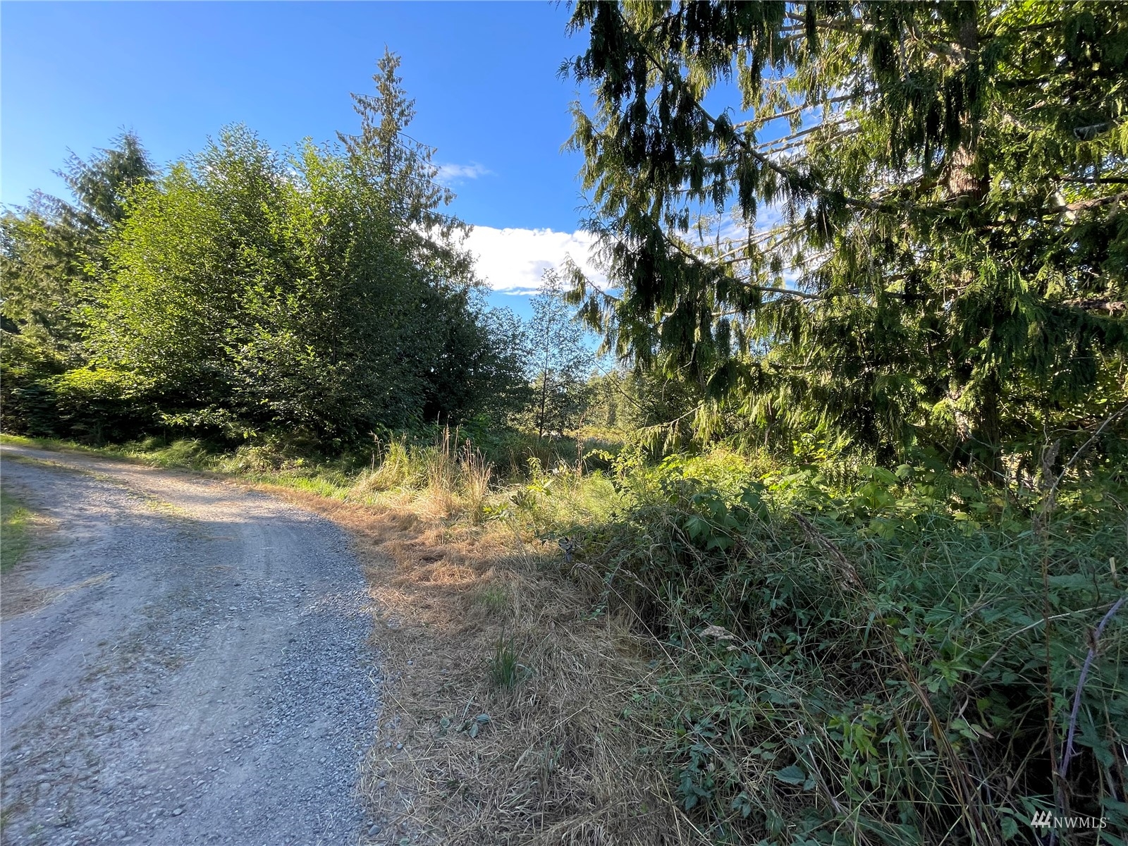789 Amarillo Road Port Angeles, WA 98362 - Photo 9 of 39 a view of a yard with a tree