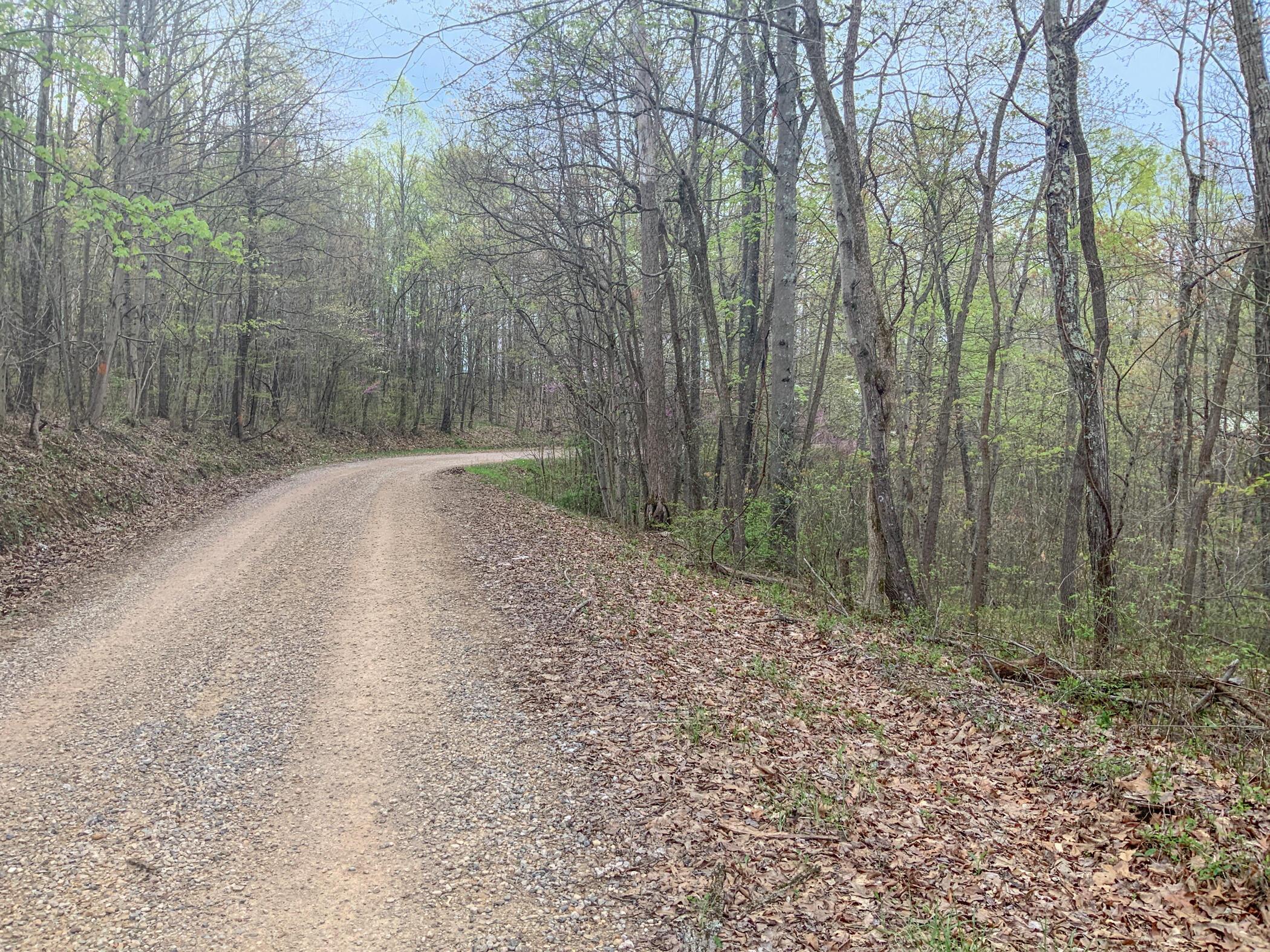0 West Clark Road Ray, OH 45672 - Photo 5 of 9 IMG_0500