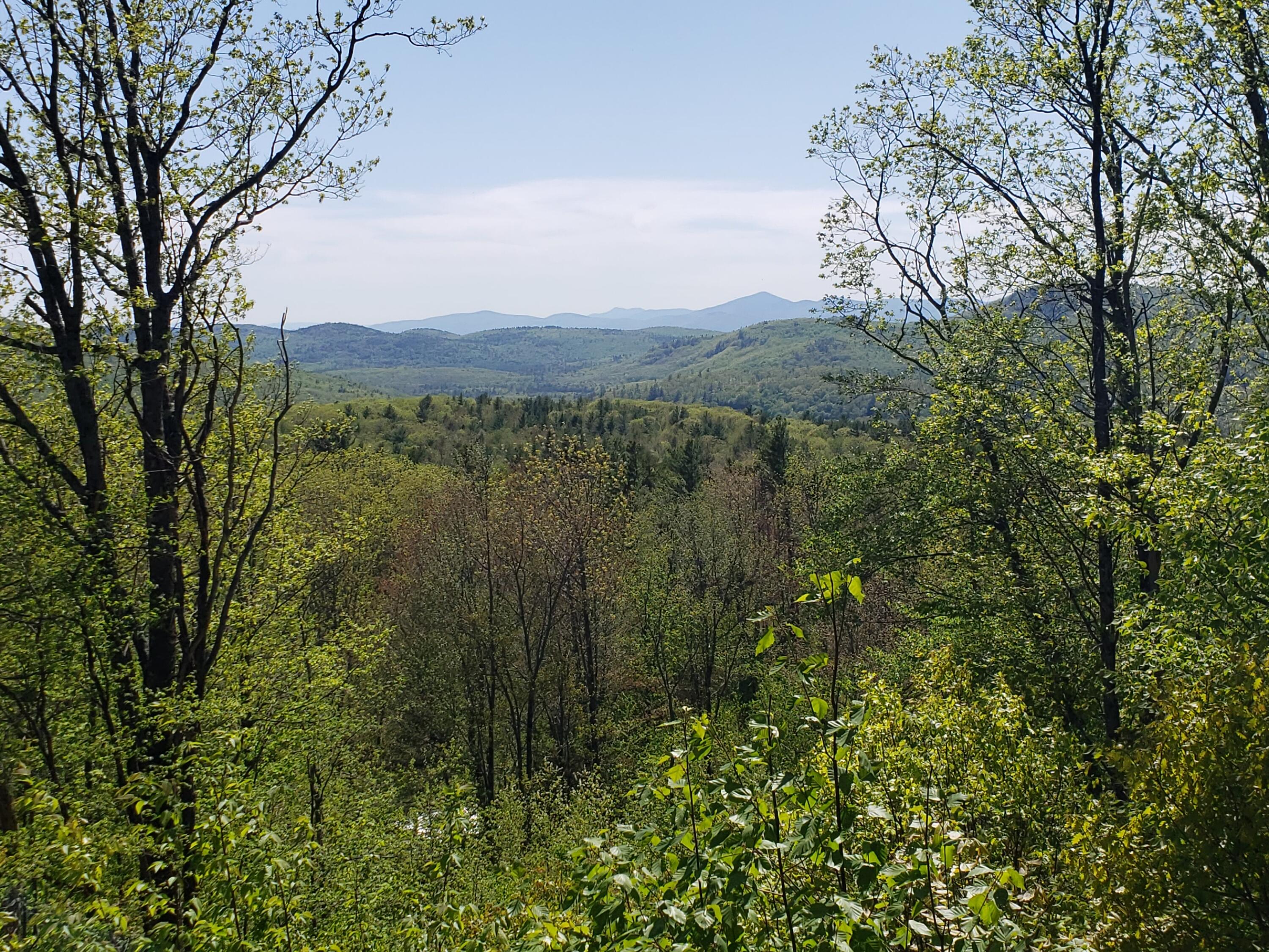 0 Daye Road Bethel, ME 04217 - Photo 12 of 44 Spring view south
