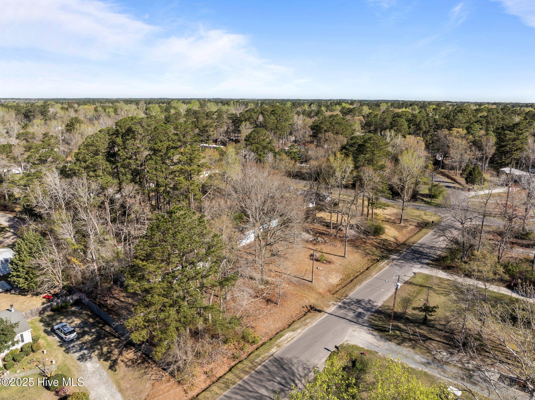 95 Remington Road Rocky Point, NC 28457 - Photo 41 of 49 5-web-or-mls-DJI_20250327095623_0459_D