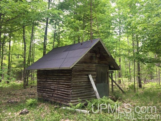 864 Niemi Road Skandia, MI 49885 - Photo 11 of 27