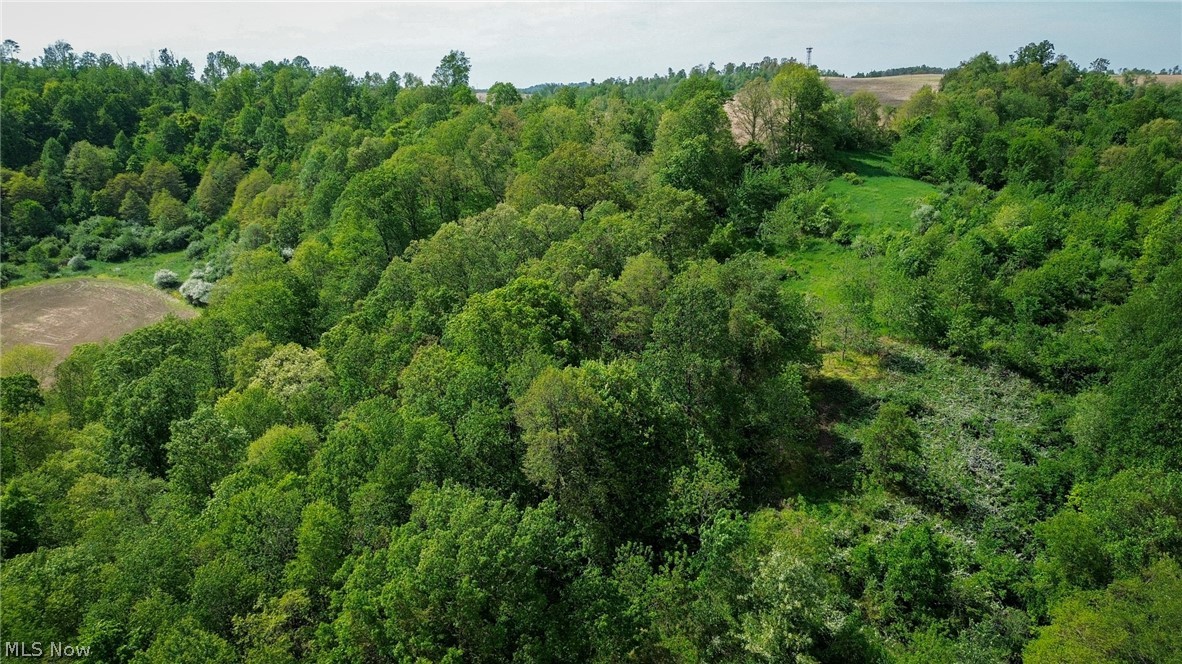 Degen Road Southwest Stone Creek, OH 43840 - Photo 11 of 19