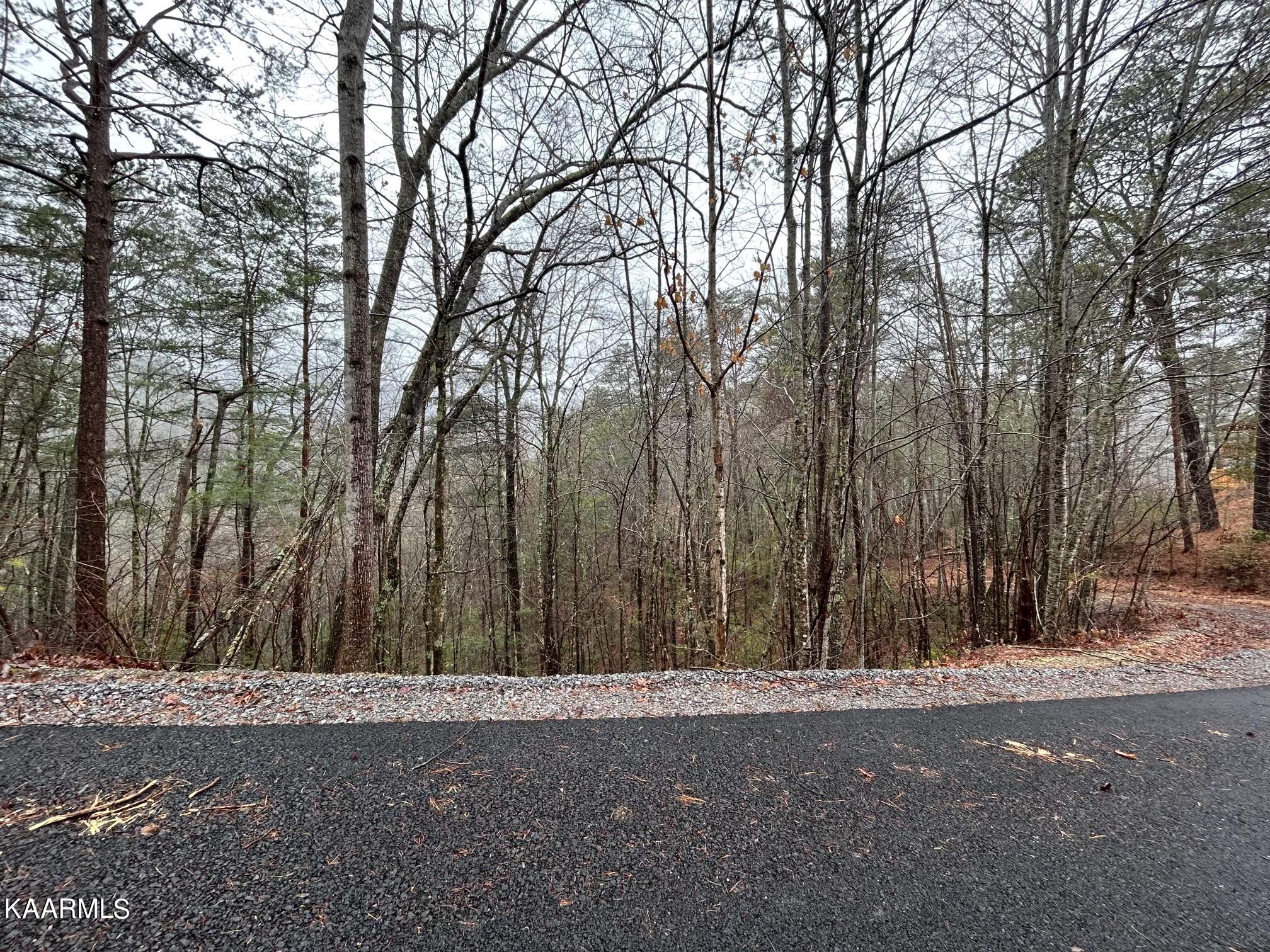 Lot 15 Clearview Road Sevierville, TN 37862 - Photo 8 of 15 IMG_6446