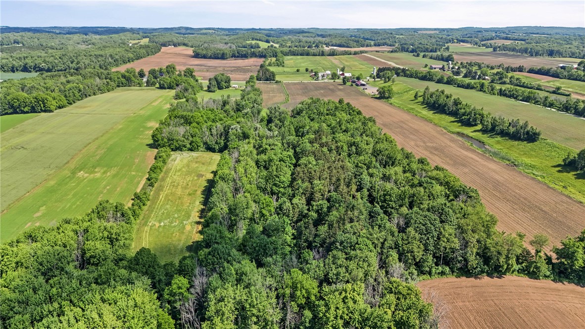 4880 Skinner Road Marion, NY 14505 - Photo 19 of 19