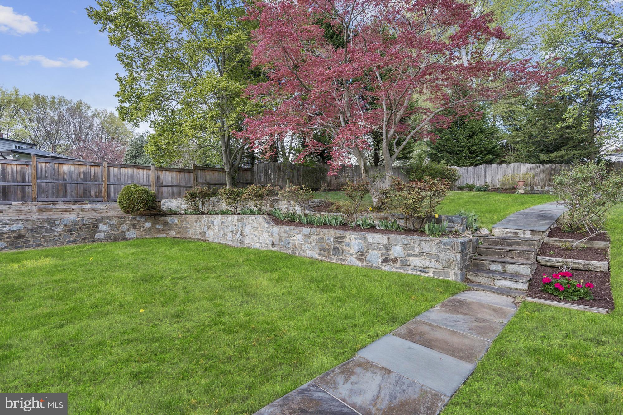 5021 Baltan Road Bethesda, MD 20816 - Photo 25 of 28 Enormous backyard
