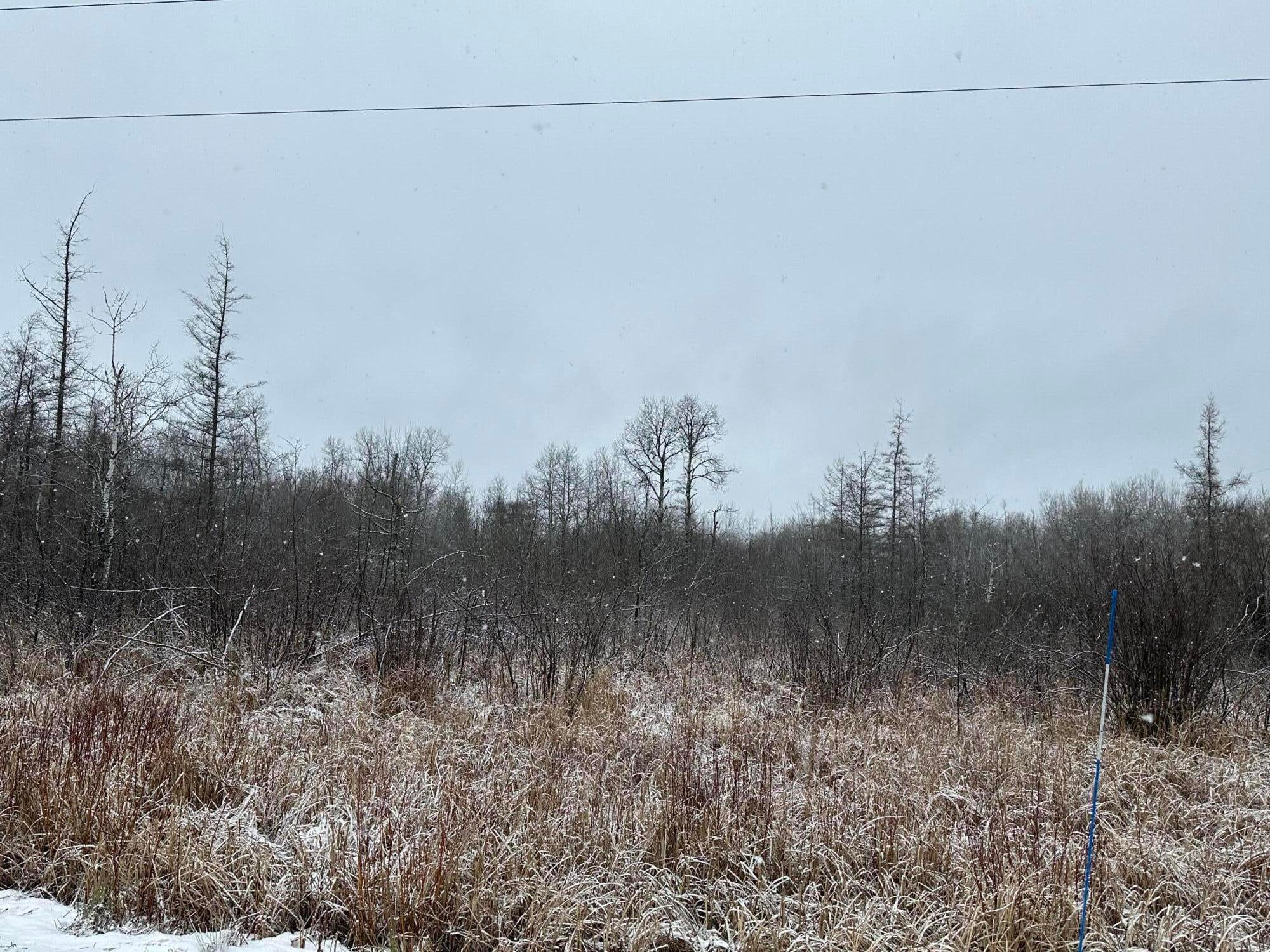 8007 South Forrest Side Road Brimley, MI 49715 - Photo 1 of 4 Gallery Image 1