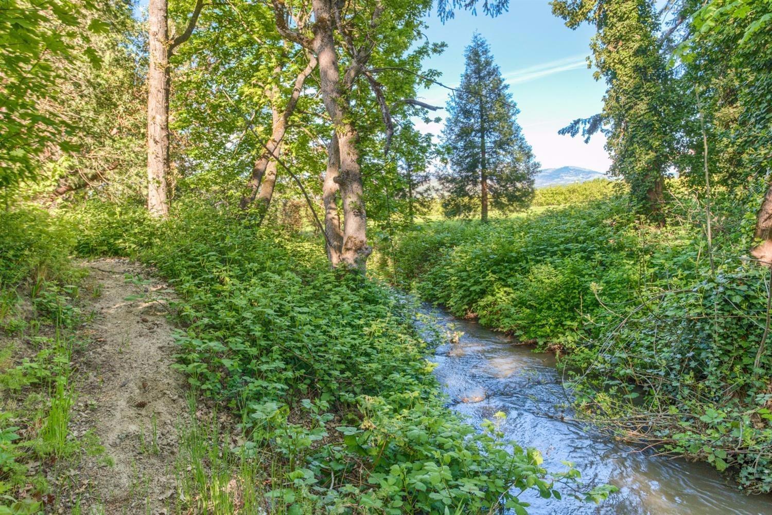 1975 Houston Road Phoenix, OR 97535 - Photo 27 of 33 Lovely creek runs through property and s