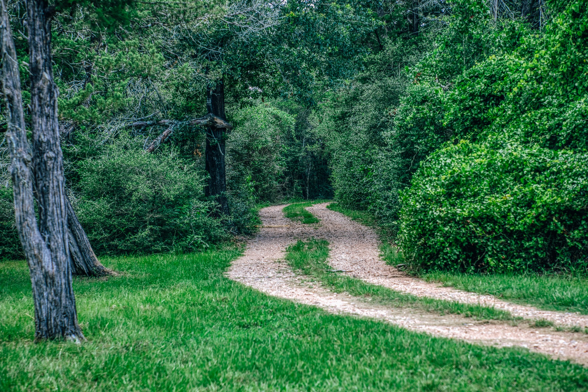 3301 Round Top Road Round Top, TX 78954 - Photo 5 of 21