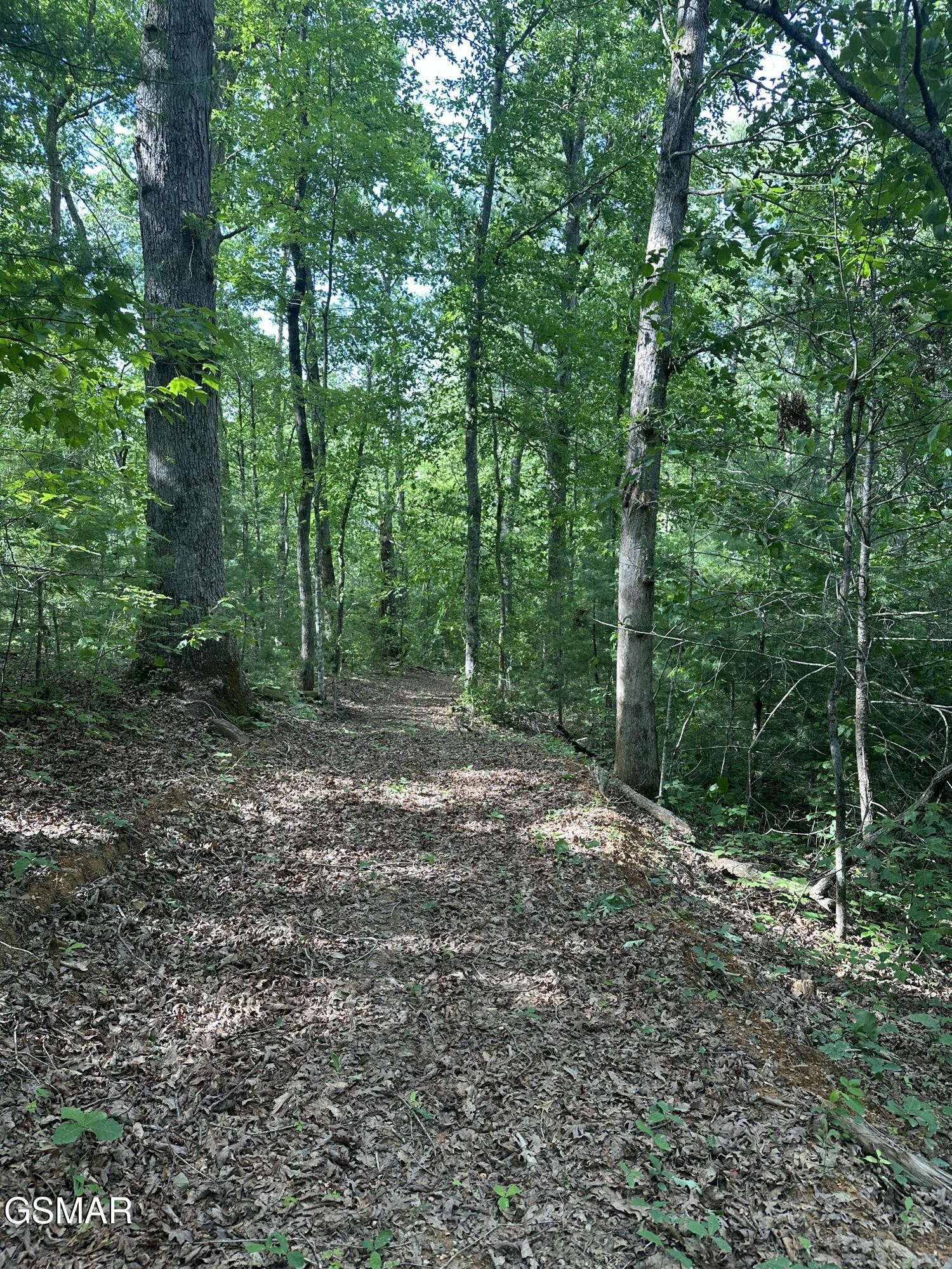 0 Little Bear Road Cosby, TN 37722 - Photo 39 of 46 Gallery Image 39