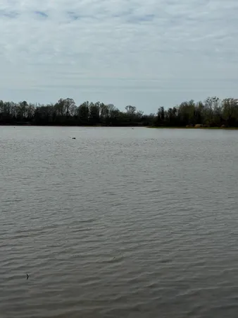 $40,000 | 37 Mill Drive, Jackson, TN 38305