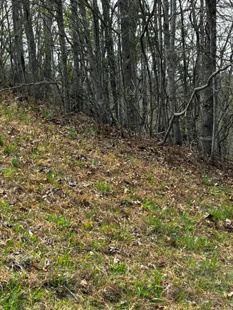 $40,000 | 37 Mill Drive, Jackson, TN 38305