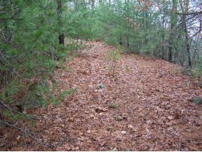 0 Sunset Ridge Butler, TN 37640 - Photo 2 of 2 Photo 2