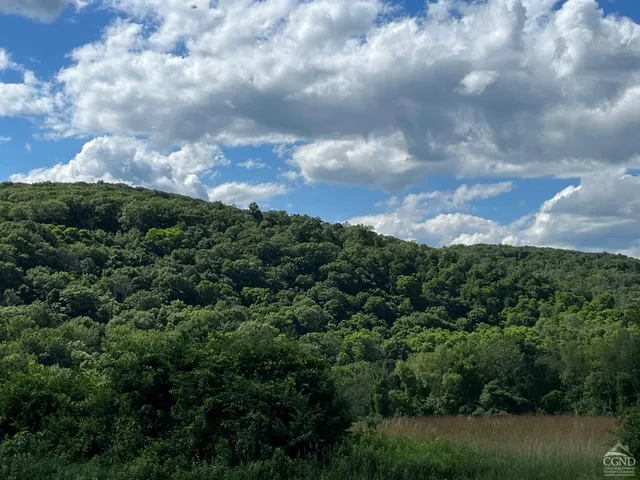 a view of a city and a lot of trees