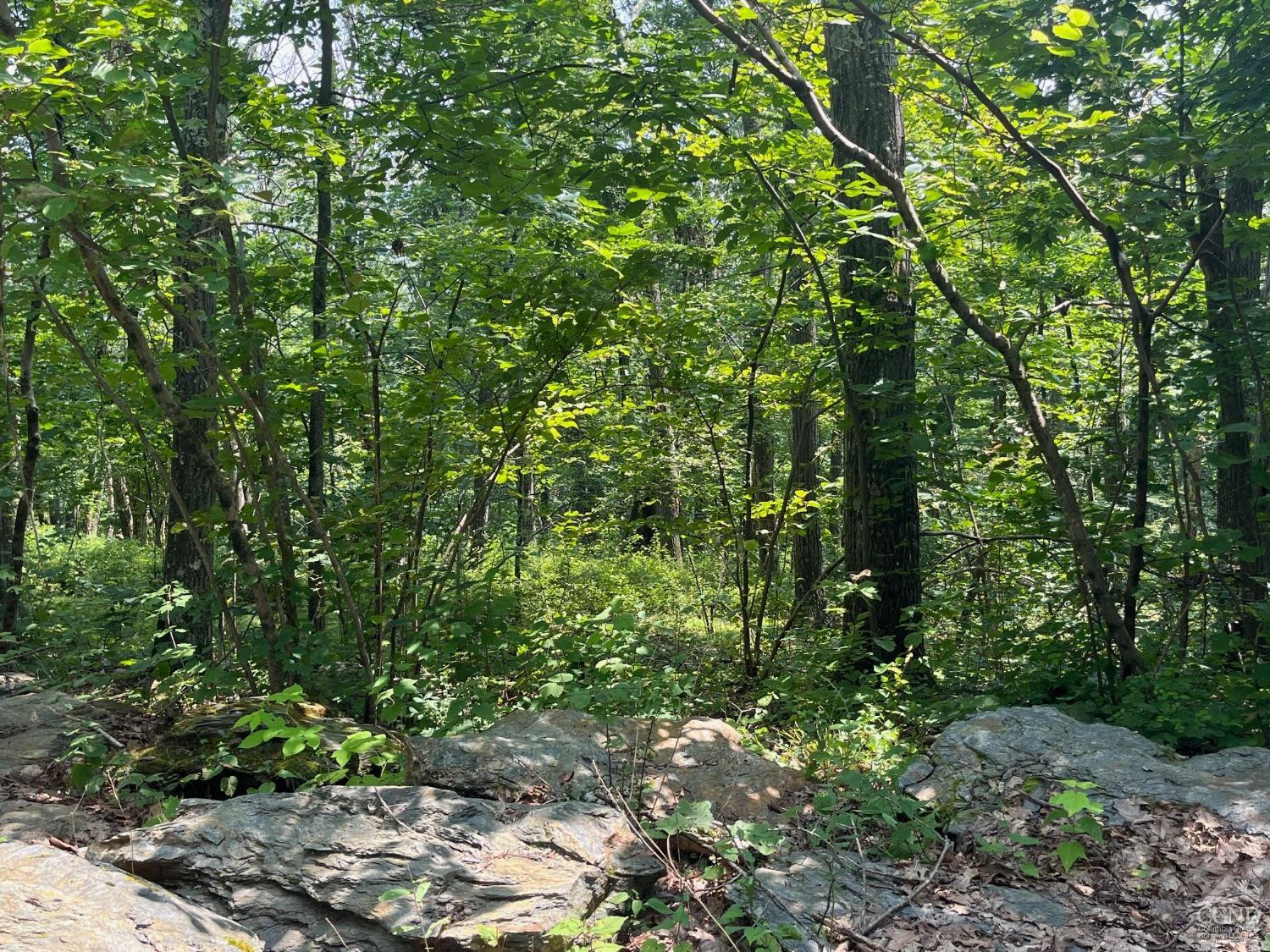 0 Cascade Mt Perrys Corners Road Amenia, NY 12501 - Photo 17 of 23 a view of a garden