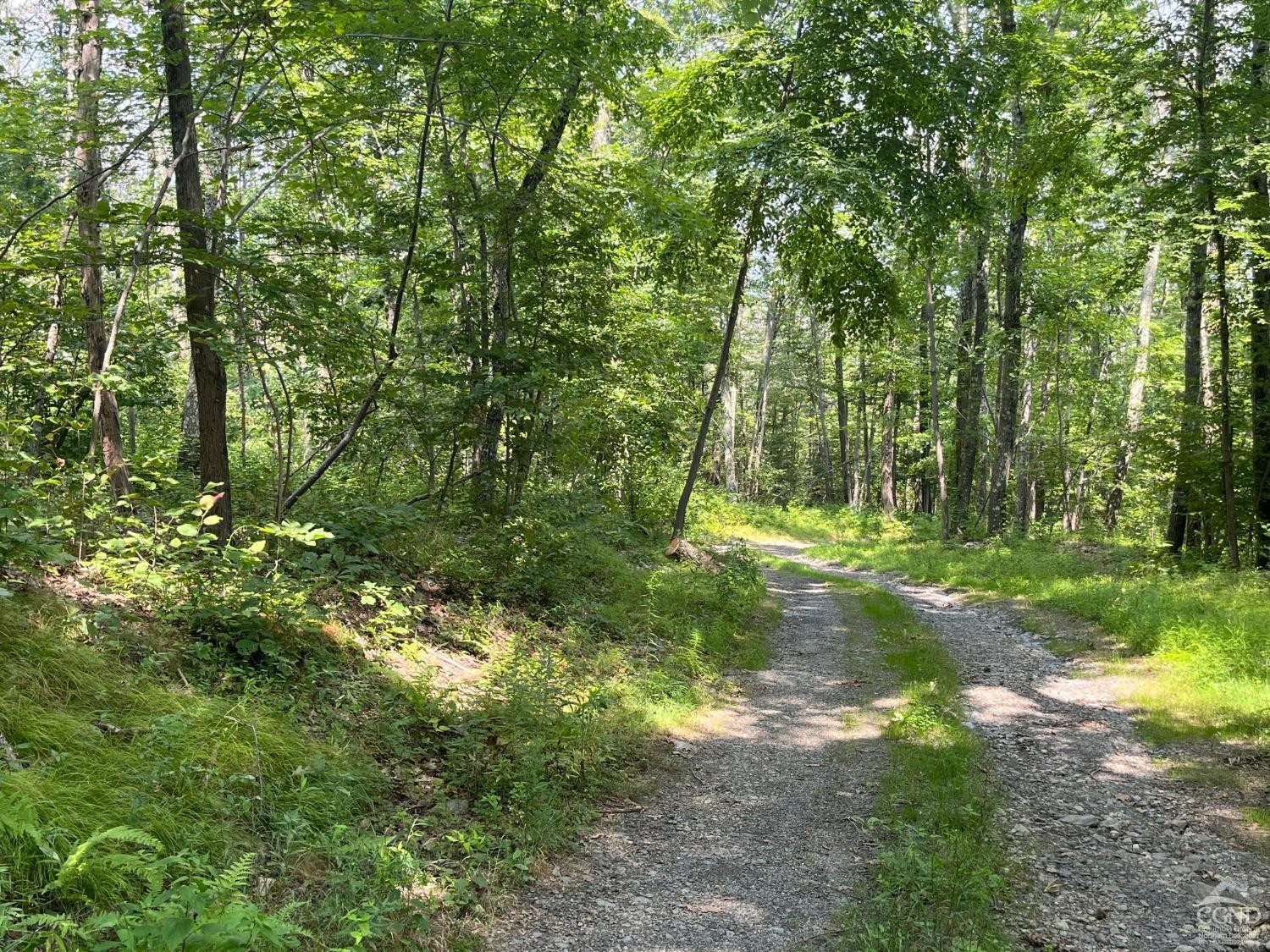 0 Cascade Mt Perrys Corners Road Amenia, NY 12501 - Photo 18 of 23 a backyard of a house with lots of green space