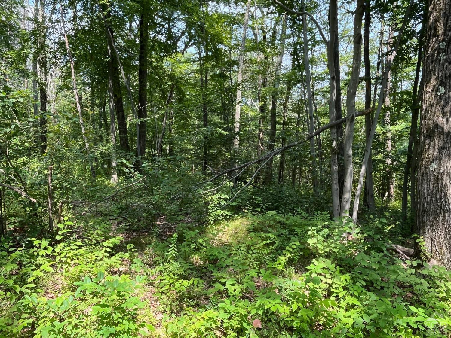 0 Cascade Mt Perrys Corners Road Amenia, NY 12501 - Photo 19 of 23