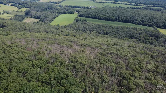 a view of a green field with lots of bushes