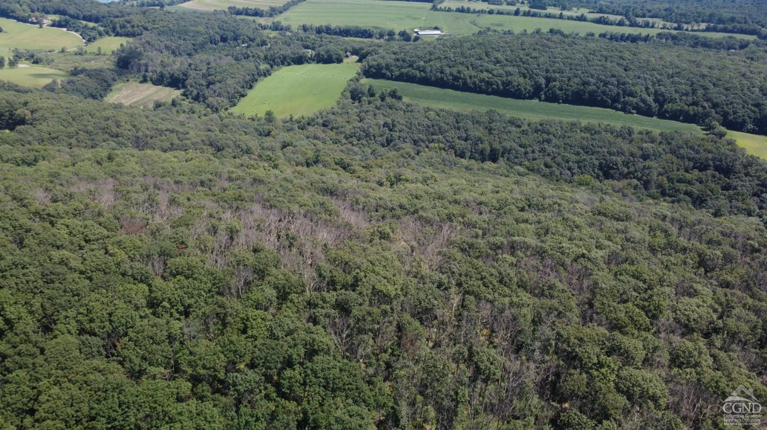 0 Cascade Mt Perrys Corners Road Amenia, NY 12501 - Photo 21 of 23 a view of a dry yard with wooden fence
