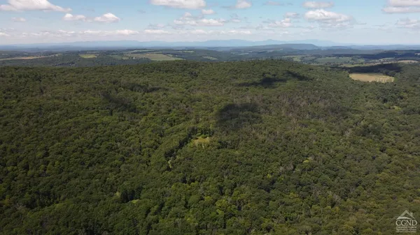 a view of a lake in middle of the forest