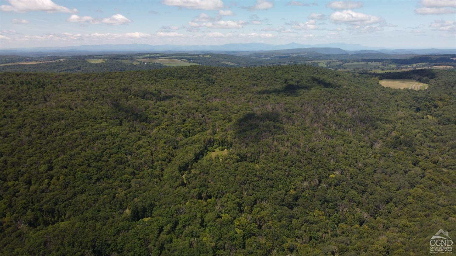 0 Cascade Mt Perrys Corners Road Amenia, NY 12501 - Photo 22 of 23 a view of a green field with lots of bushes