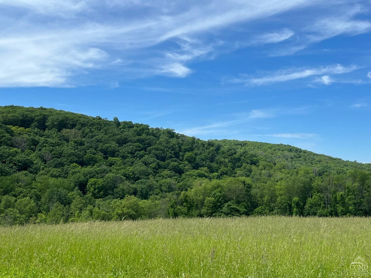 0 Cascade Mt Perrys Corners Road Amenia, NY 12501 - Photo 3 of 23 a view of a green field with clear sky