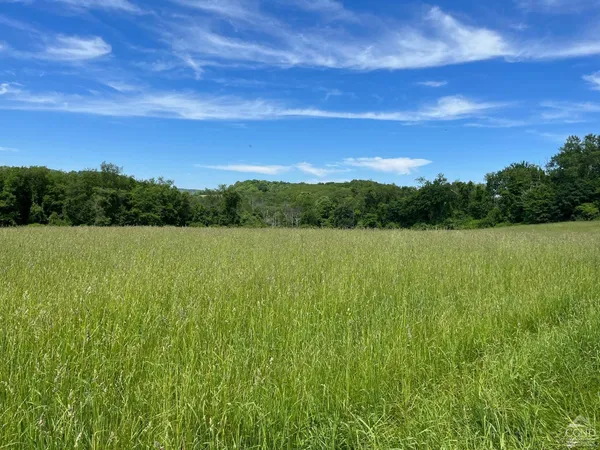a view of lake and mountain