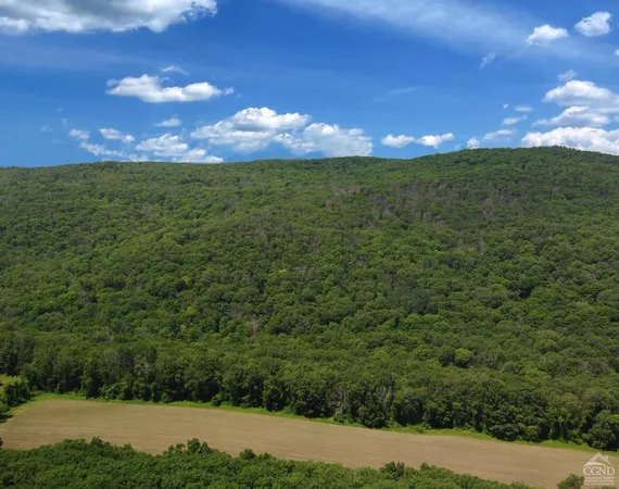 a view of a big yard with lots of green space and mountain view in back