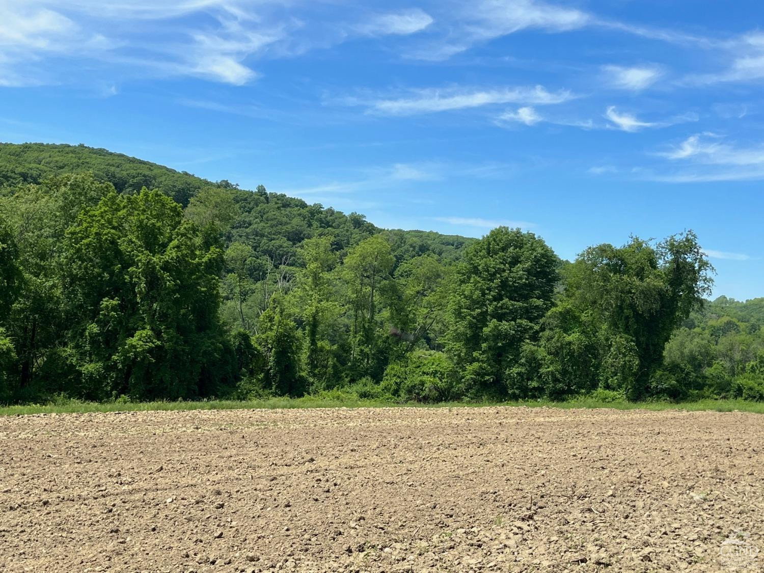 0 Cascade Mt Perrys Corners Road Amenia, NY 12501 - Photo 9 of 23 a view of a field with a yard