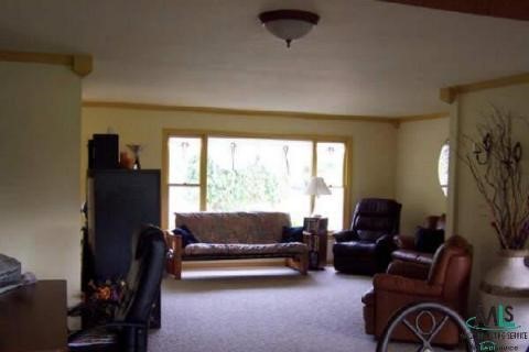 985 Riley Center Road Memphis, MI 48041 - Photo 8 of 9 703826-7.JPG