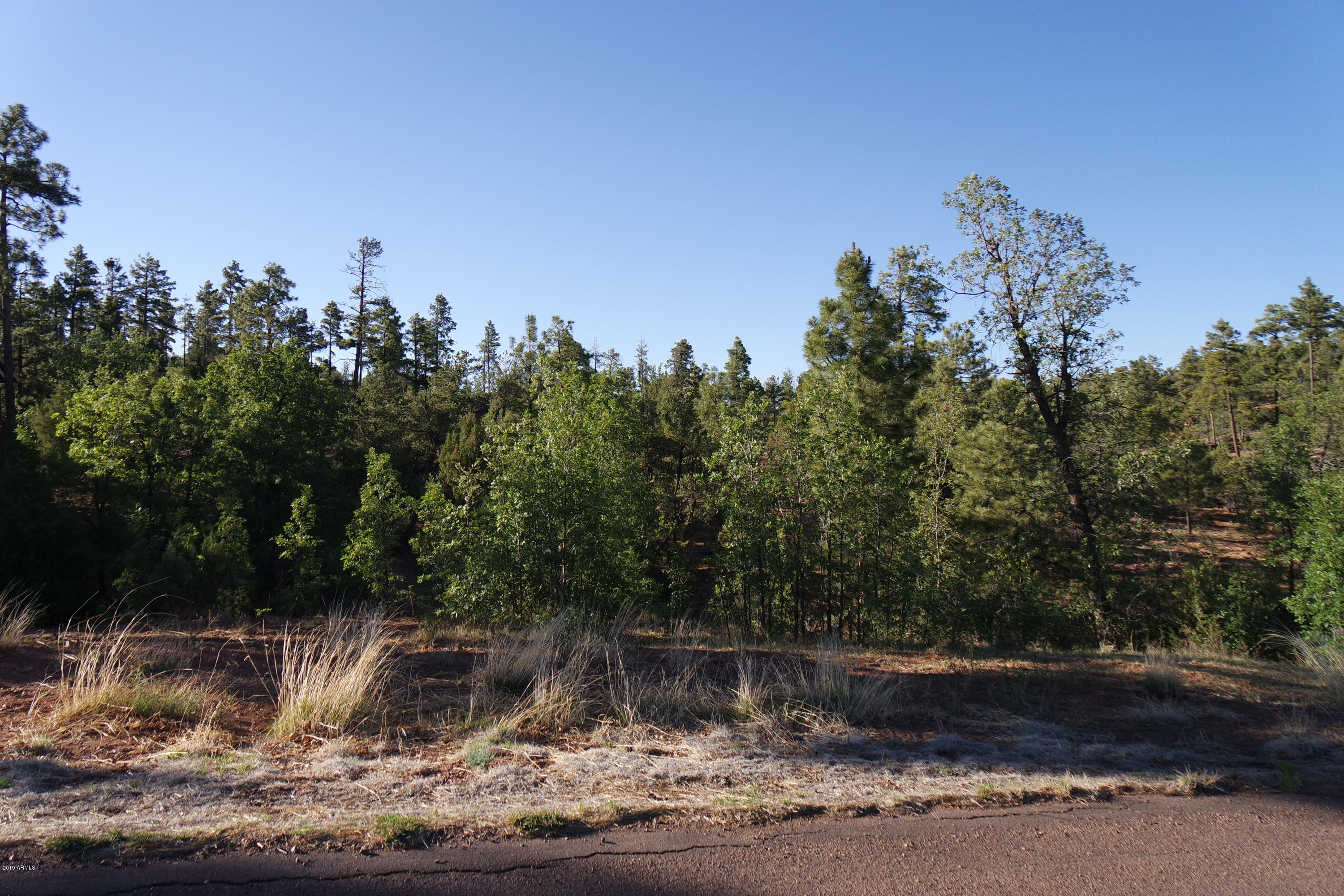 5977 Rim Road, Unit 90 Lakeside, AZ 85929 - Photo 2 of 7 Stock Photo
