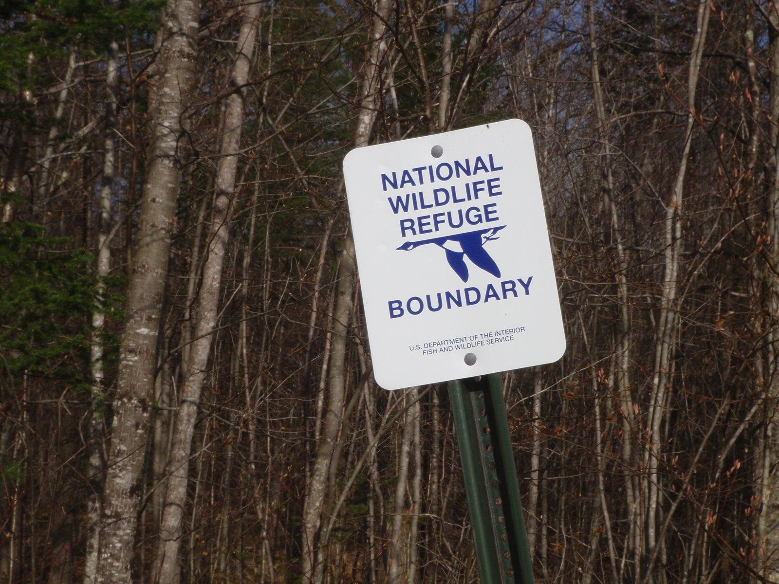 167 Gore Road Canaan, NH 03741 - Photo 25 of 32