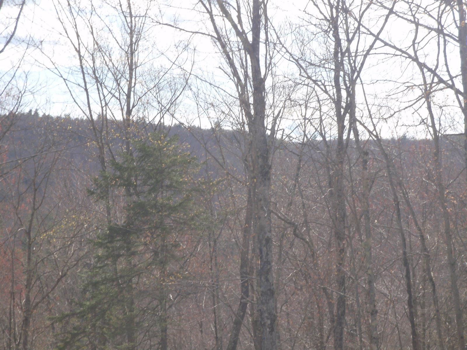 167 Gore Road Canaan, NH 03741 - Photo 9 of 32