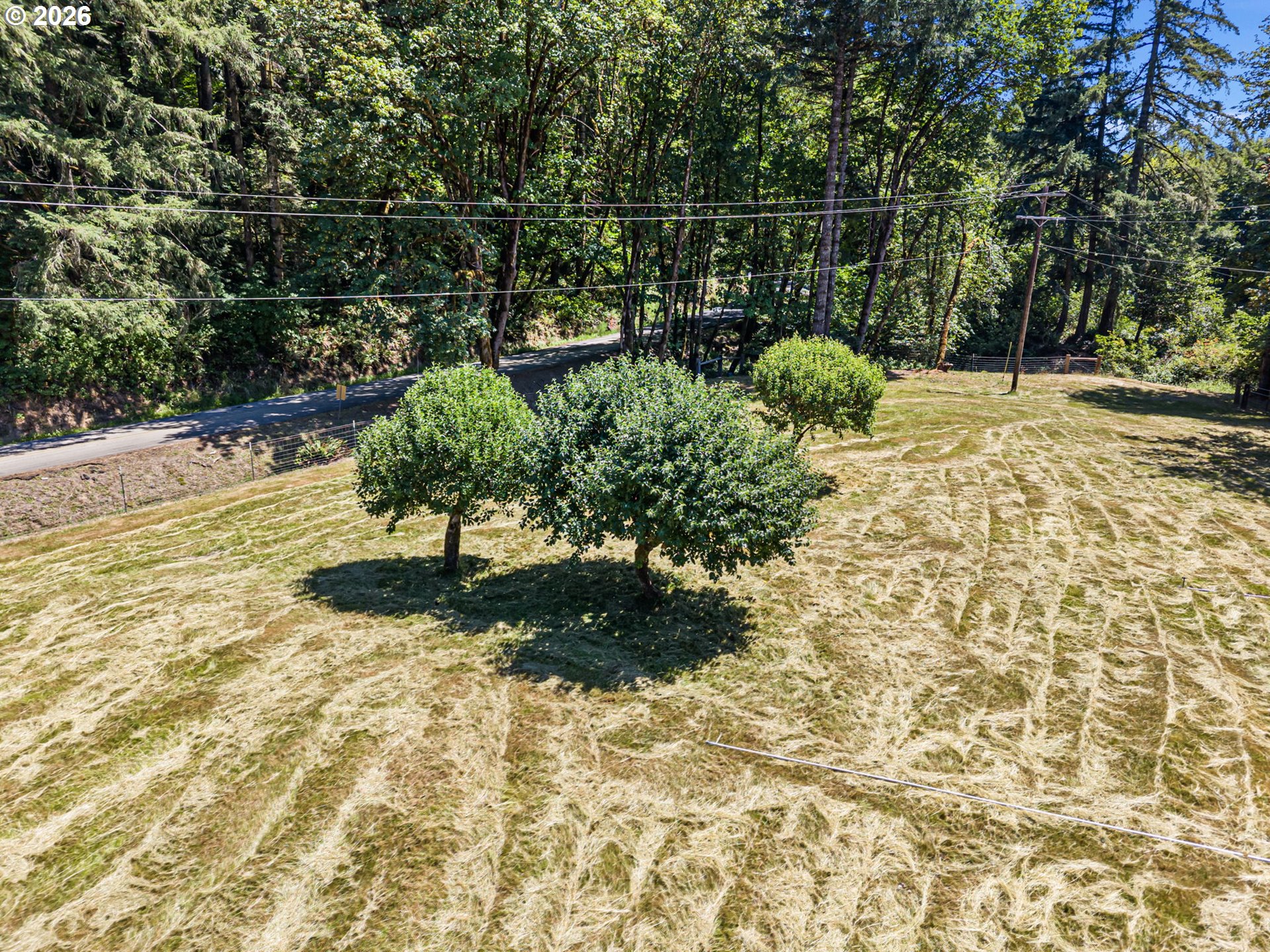 1462 Schad Road Elkton, OR 97436 - Photo 42 of 48