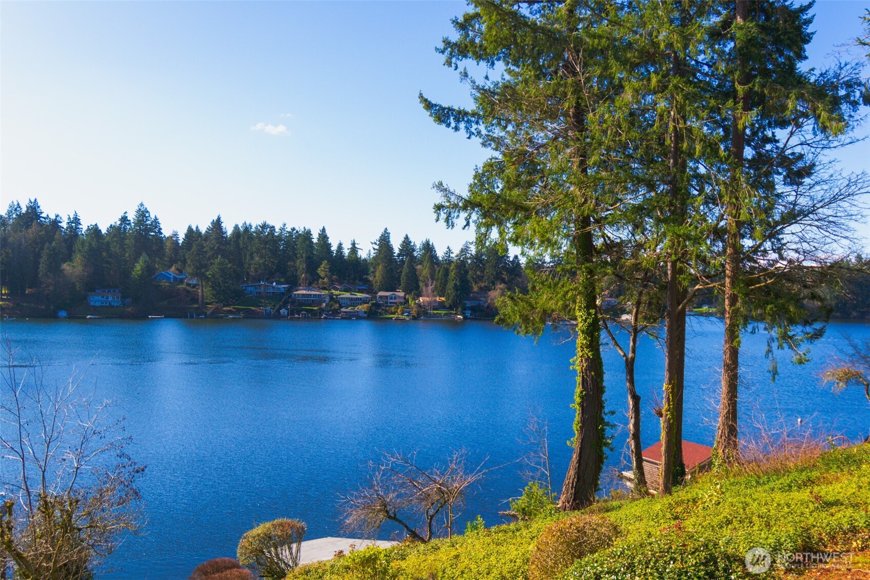 10826 Meadow Road Southwest Lakewood, WA 98499 - Photo 2 of 40 a view of a backyard