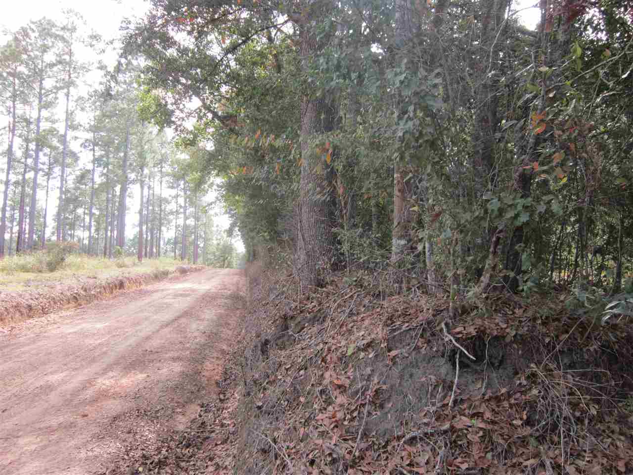 0 Vinson Road, Unit 1 Monticello, FL 32344 - Photo 3 of 13