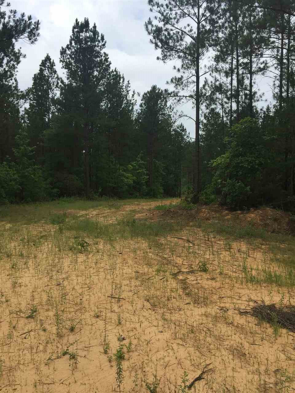 0 Mount Zion Road Camden, MS 39045 - Photo 9 of 15 Photo 9