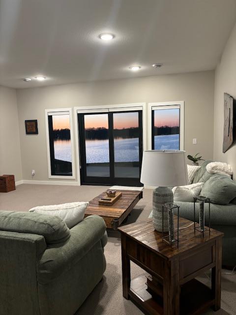 660 East Lake Cowdry Road Alexandria, MN 56308 - Photo 14 of 25 Gallery Image 14