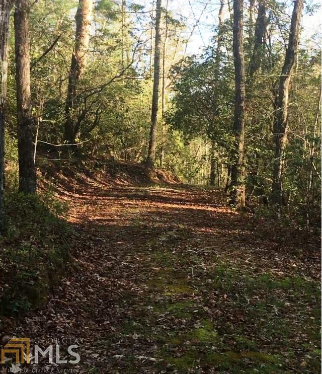 0 Boykin Road Tiger, GA 30576 - Photo 1 of 1