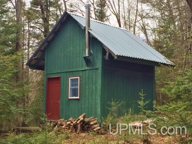 Tbd Carpenter Road Crystal Falls, MI 49920 - Photo 8 of 21