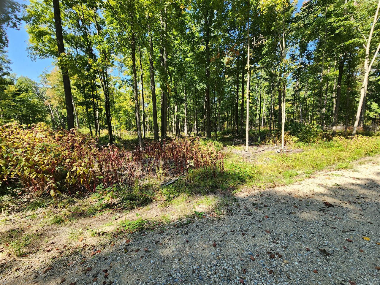 Lot F North Behler Road Bailey, MI 49303 - Photo 19 of 20