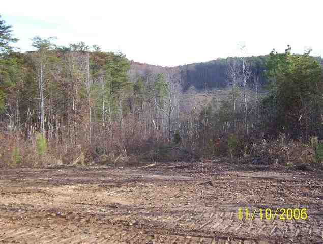 Lot 5 Will Green Road Tryon, NC 28782 - Photo 1 of 1